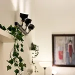 Trip In Loft