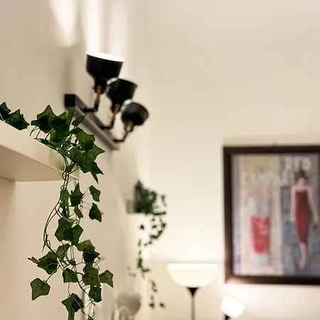 Trip In Loft