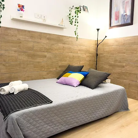 Trip In Loft דירה *